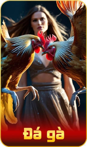 đá gà
